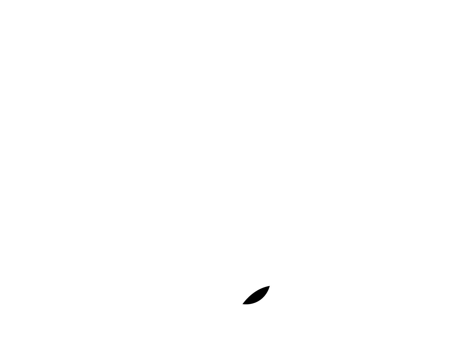 ¡Buscar nunca fue tan fácil!